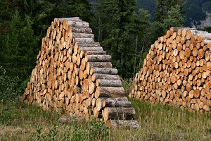 Ein großer Stapel Brennholz für die Holzheizung